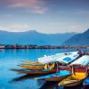 AVD Drives Car Rentals and AVD Holidays