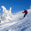 AVD Drives Car Rentals and AVD Holidays