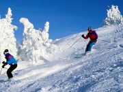 AVD Drives Car Rentals and AVD Holidays