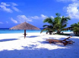 AVD Drives Car Rentals and AVD Holidays