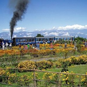 darjeeling1